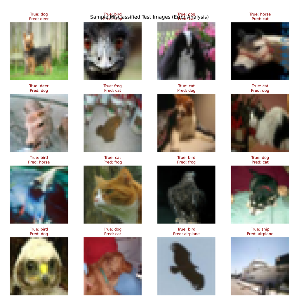 Examples of test images incorrectly classified by the CNN model.